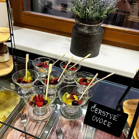 Litovel Hotel Luhacovice